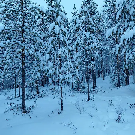 Huoneisto Cozy Arctic Haven And Retreat Within The Arctic Circle *